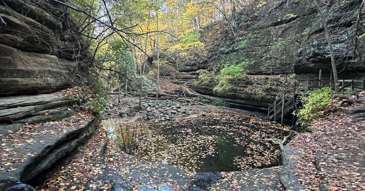 Eye On Illinois: Renewed efforts to invest in well-loved state park system – Shaw Local