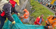 Alcaldía de Los Mártires fortalece el cuidado ambiental en el Canal Comuneros