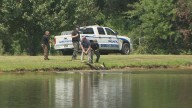VIDEO: Alligator captured outside school in Mississippi