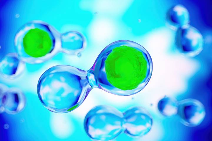 Protalix: Speculative Buy On Promising Plant-Cell Platform And Elfabrio Ramp (NYSE:PLX)