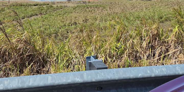 Firefighters battle brush fire on Hawaii Island