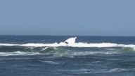 Salisbury Beach water rescue underway