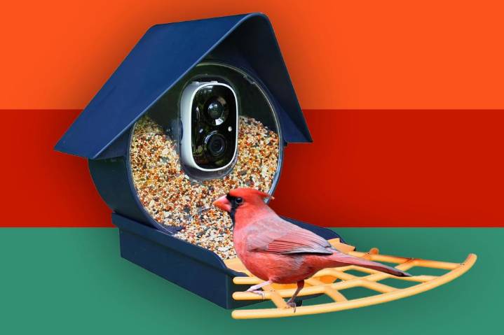 Birdkiss Smart Bird Feeder with Camera is 50% off on Amazon