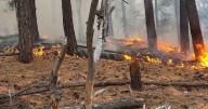 Small wildfire near Woody Mountain sends smoke into Flagstaff