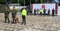 Incautan cerca de tres toneladas de marihuana en carretera entre Huila y Caquetá