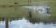Teen shatters world record for skipping a ball across water