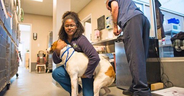 When does a pet need emergency vet care? Hang on to this checklist that will help you decide