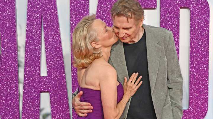 Are Pamela Anderson and Liam Neeson Dating?
