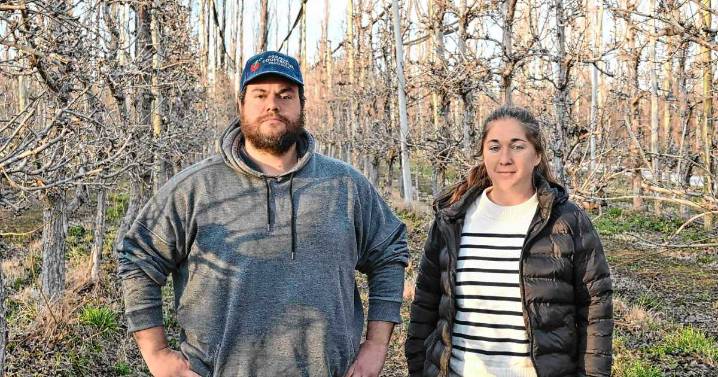 «A mí la fruticultura no me tocó: la elegí» | El joven que a los 25 años llegó a Río Negro para producir peras y manzanas