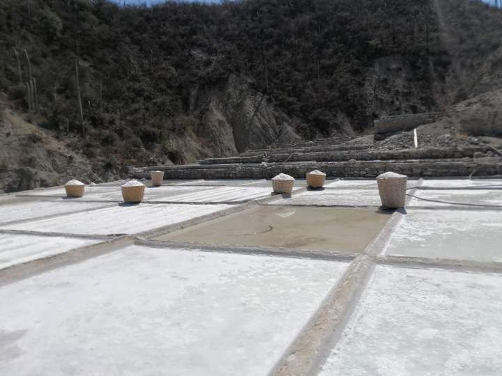 Lluvias frenan la producción de sal artesanal en Zapotitlán Salinas