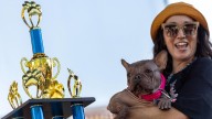 Meet Petunia: The 'World's Ugliest Dog'