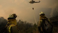 Las comunidades despliegan sus primeras ayudas después de tres semanas de incendios: vivienda, viñedos, pasto para ganado y pymes