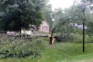 Darrell Blackwelder: Tree removal after a storm