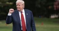 I Thought the World Would Stop Trump. Here’s Why I Was Wrong