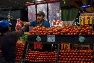 Precio del jitomate baja por restricciones en exportación a EUA