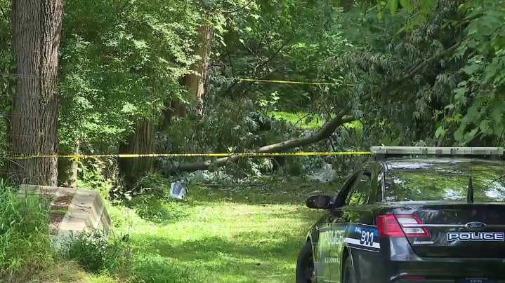 NTSB releases final report on plane crash that killed Williamsport teen