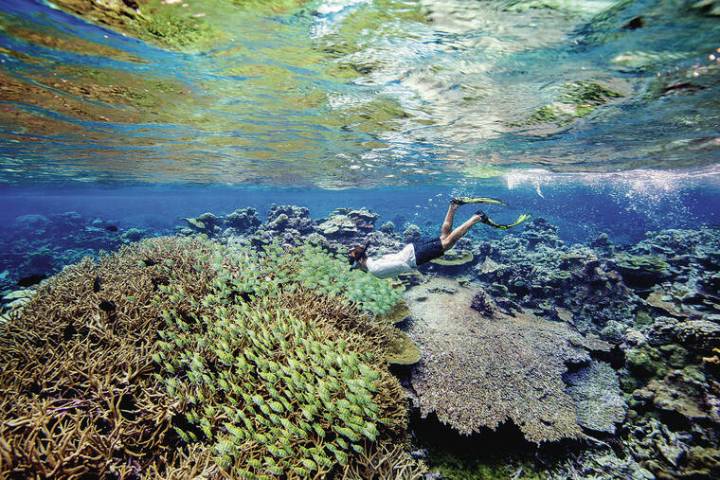 Federal judge questions merit of Trump permitting commercial fishing in Pacific marine monument