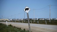 Woman injured in bear attack during morning jog in Alaska