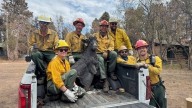 A Grand Canyon mascot is recovered from the rubble. Can Brighty the Burro be restored?