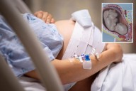'Pregnancy robots' could give birth to human children