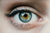 Do we all see the same thing? We looked at 100 years of research on perception and found something surprising.