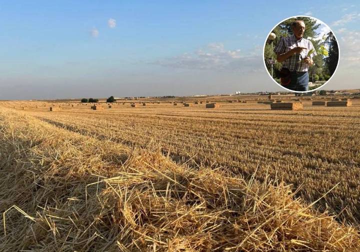 Los secretos mejor guardados de las cabañuelas: «Antiguamente mi padre levantaba una piedra...»