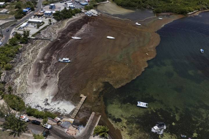 Trump administration dismisses majority of federal board overseeing Puerto Rico’s finances