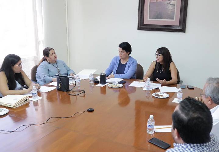 APRUEBAN EN COMISIÓN CONVOCATORIA PARA REALIZAR EL PARLAMENTO DE LAS Y LOS JÓVENES DEL ESTADO DE SAN LUIS POTOSÍ: DIP. MIREYA VANCINI VILLANUEVA