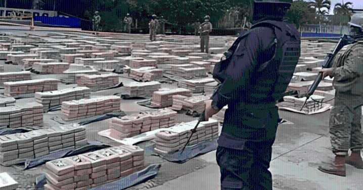 PNP incauta 50 kilos de hoja de coca en operativo en Antauta, Puno