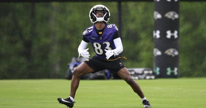 Meet the Ravens rookie who hopes to answer team’s punt return prayers