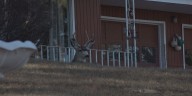 Manitowoc hosts meetings on bow hunting in the city