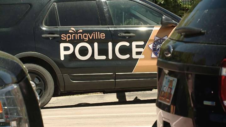 Springville woman hits store employee with car after stealing baseball cards, police say
