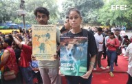 El Supremo indio da un paso atrás y no encerrará a los perros callejeros de Nueva Delhi