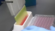 Scientists say asthma drug zileuton could stop life
