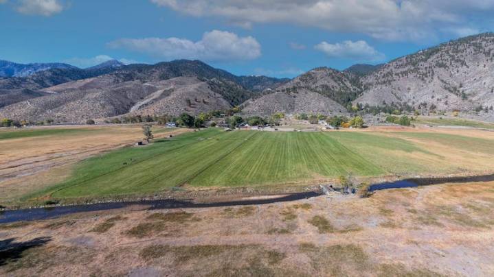 Small farms, food businesses in Nevada to lose $3M in USDA support