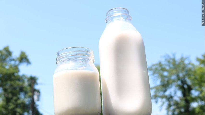 Multiple infections linked to raw milk consumption in Florida, health officials say