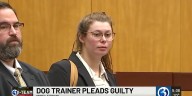 Haddam dog trainer pleads guilty to animal cruelty after dog’s death