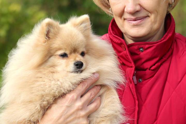 Mother-in-Law Wants to Visit and Bring a Litter Box for Her Puppy