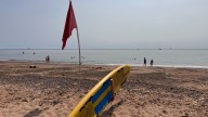 'Do not swim' warning on Exmouth Beach after pollution incident