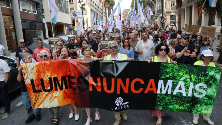 Más de 1.000 personas marchan en Vigo contra el fuego... y bajo ceniza