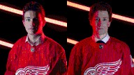 Top prospects for Detroit Red Wings