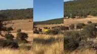 Video | Extinguen un incendio en las inmediaciones de Cornalvo