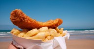 Britain facing fish and chips crisis with octopus and jellyfish set to replace cod