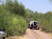 Hallan encobijado en brecha de Rancho Enmedio