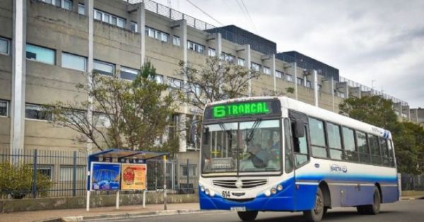 [ATENCIÓN] Este domingo varios salteños subirán gratis al bondi: qué tenés que hacer