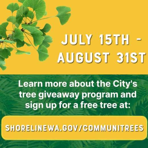 Shoreline residents - get a free tree - apply by August 31, 2025