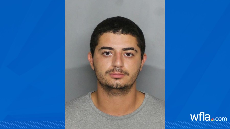 Florida father charged after 'violently shaking' baby: sheriff