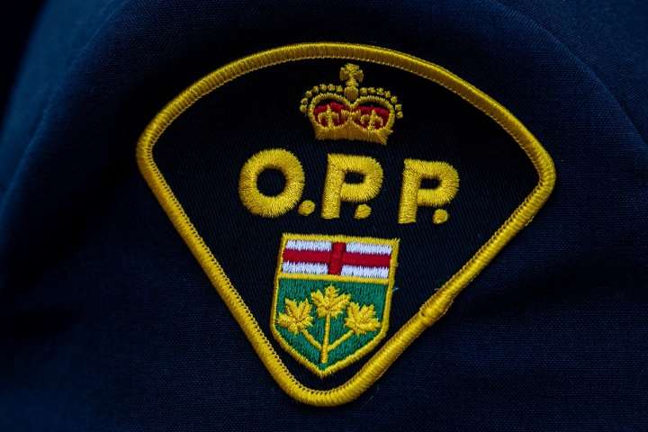 Police arrest neighbour after family dog shot and killed in Ontario