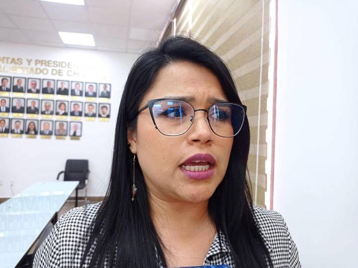 REFORMA a la “Ley Ingrid” en Chiapas no limita a periodistas, aclara diputada Katy Aguiar