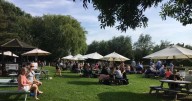 Fancy a pint? Voters choose the best beer garden in and around Cambridge